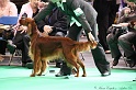 Crufts2011 602